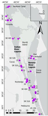 Nutrient fluxes from recent deposits of fine-grained, organic-rich sediments in a Florida estuary